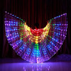 LED Dancewear