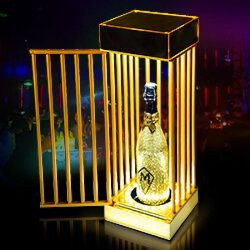 LED Bottle Cage